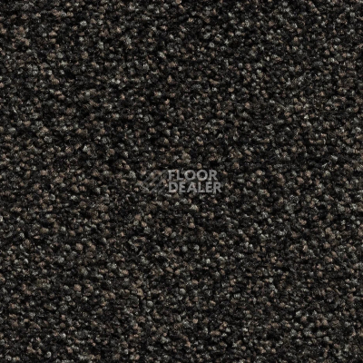 Ковровая плитка Bonkeel Pandora Black Accent фото 1 | FLOORDEALER
